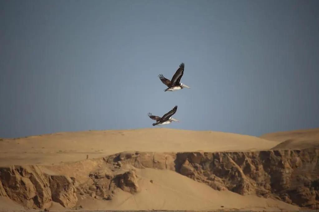 Atenas Backpacker Hospedaje Paracas Bagian luar foto